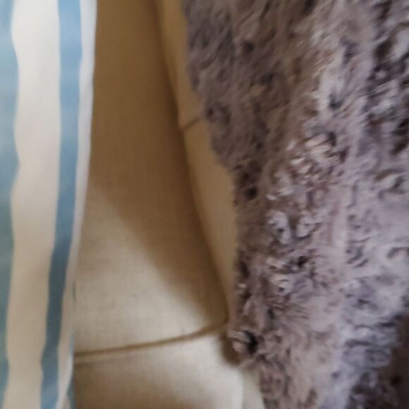 🐰 Bunny in Cottontail - Picture 2 of 4